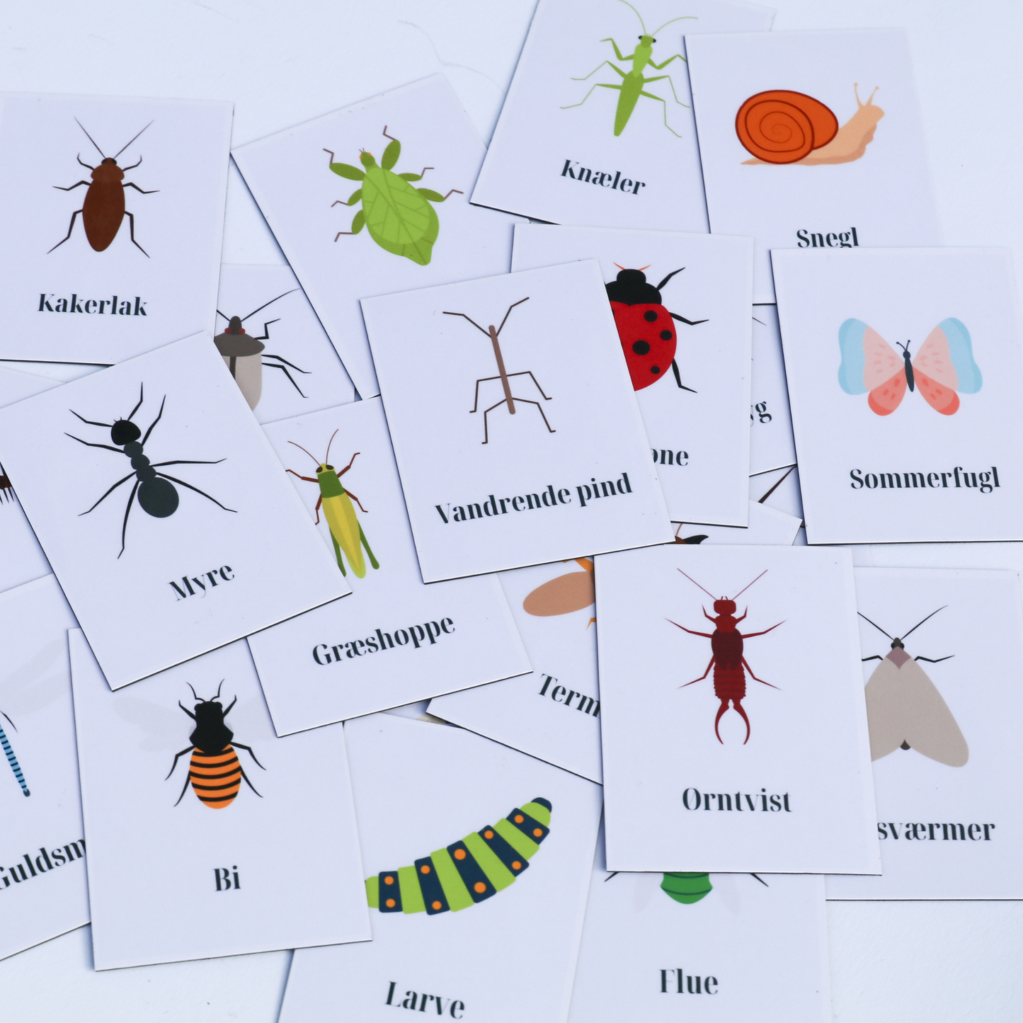Magneter med insekter