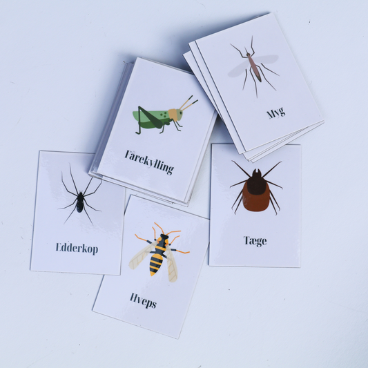 Magneter med insekter