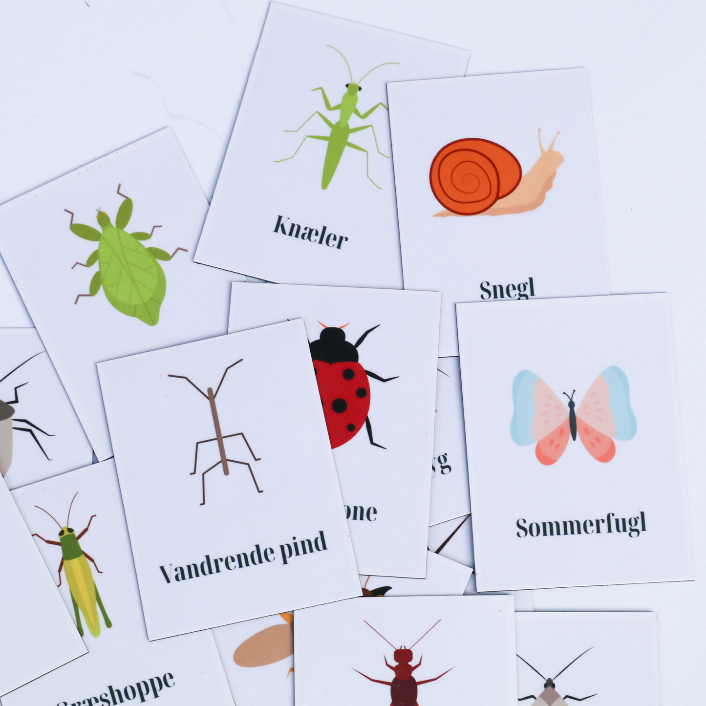Magneter med insekter