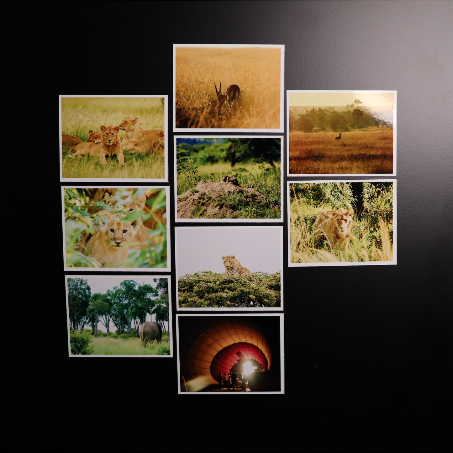 Fleksible fotomagneter